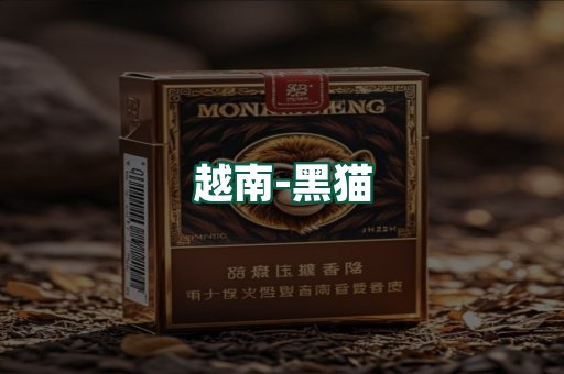 越南黑猫